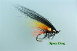 Spey Dog